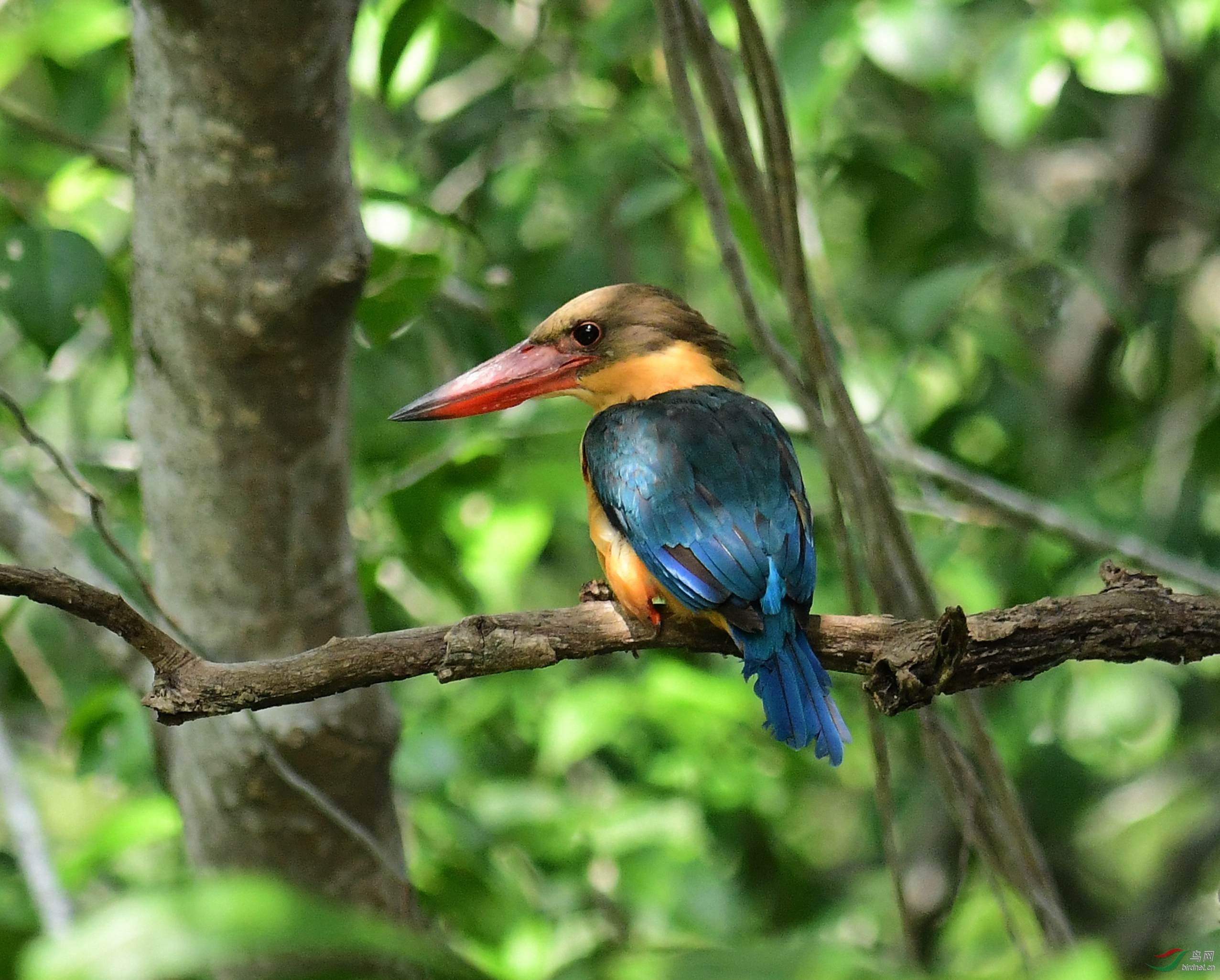 DSC_4095.JPG