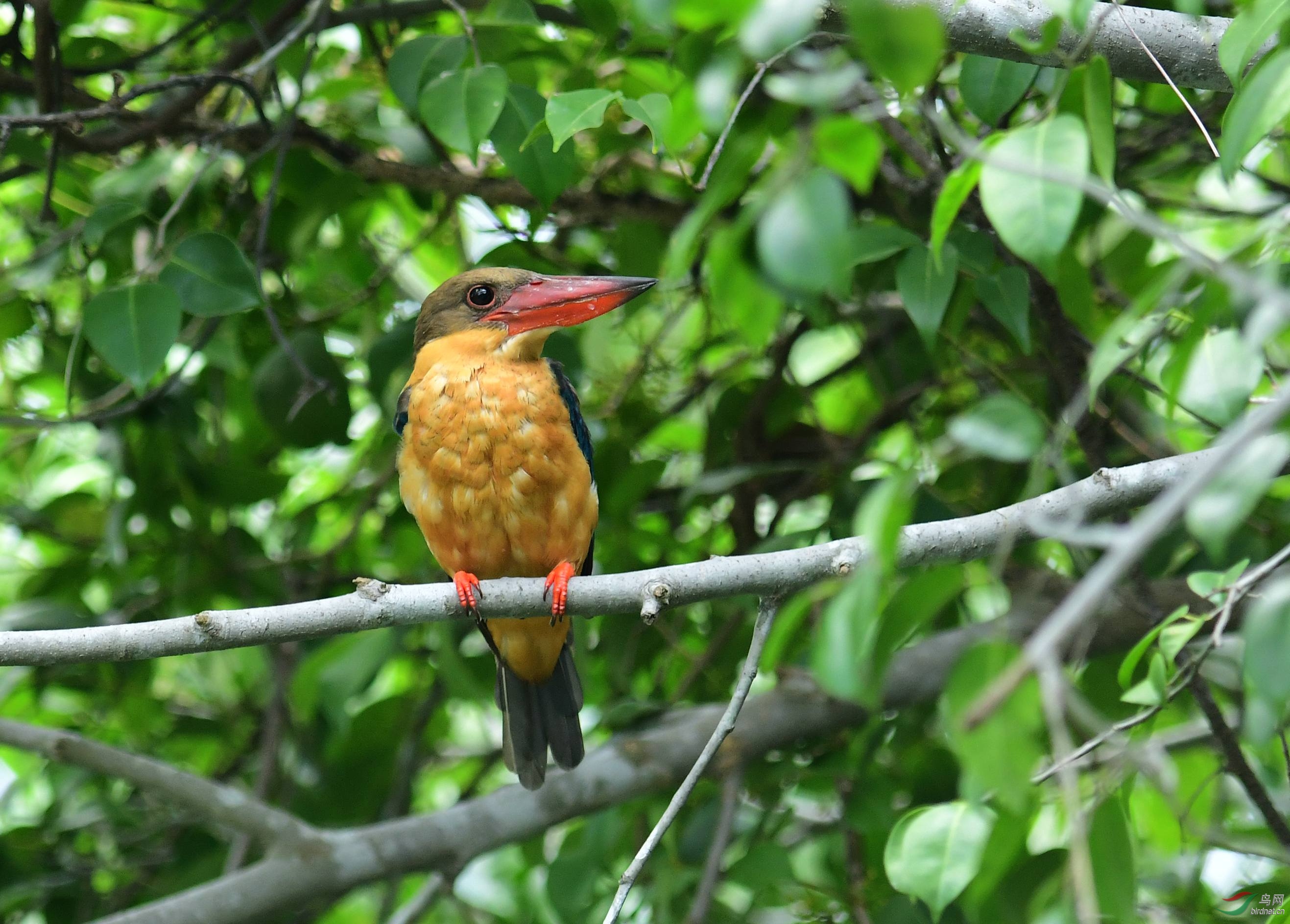 DSC_3984.JPG
