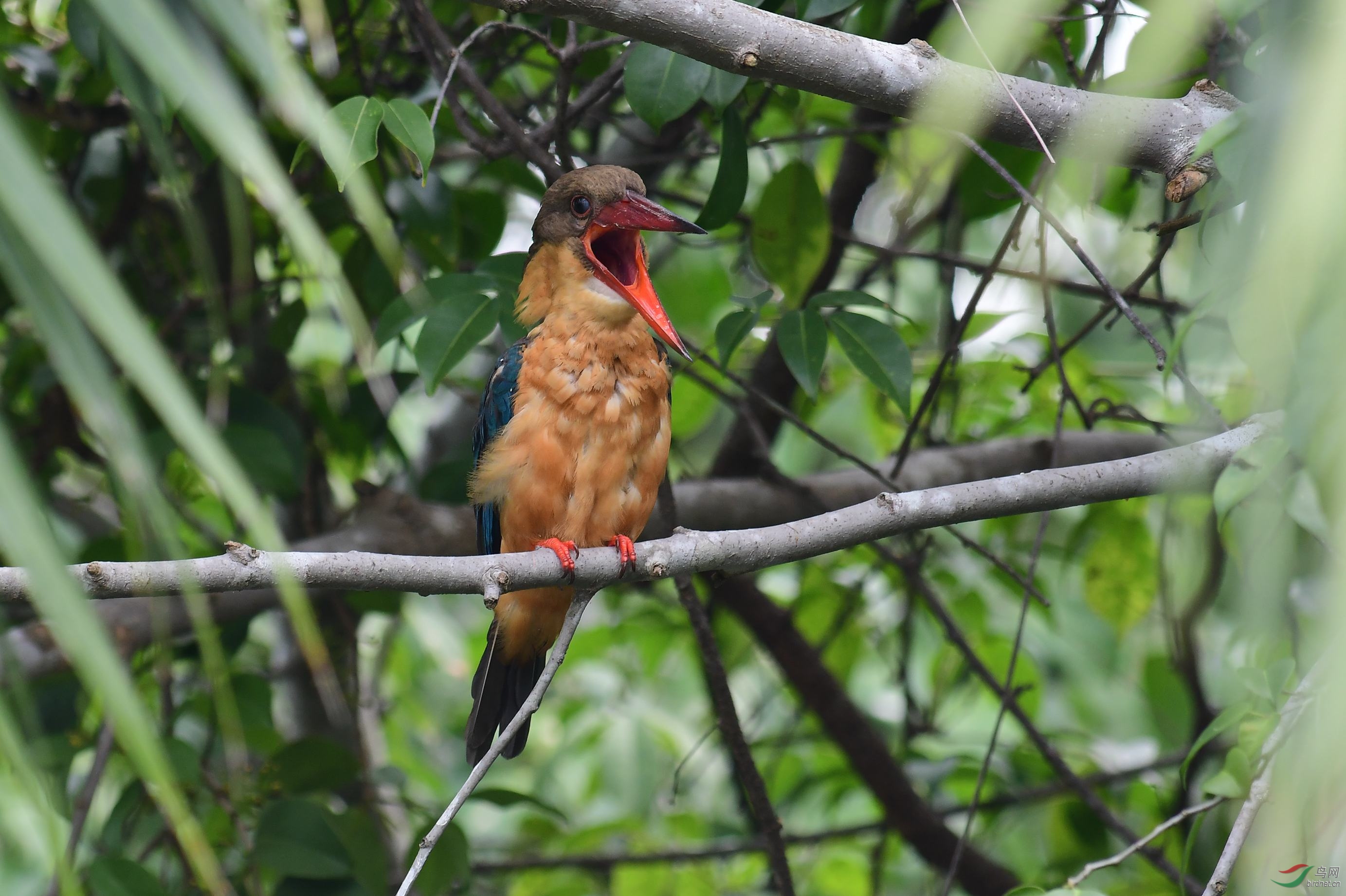 DSC_3036.JPG