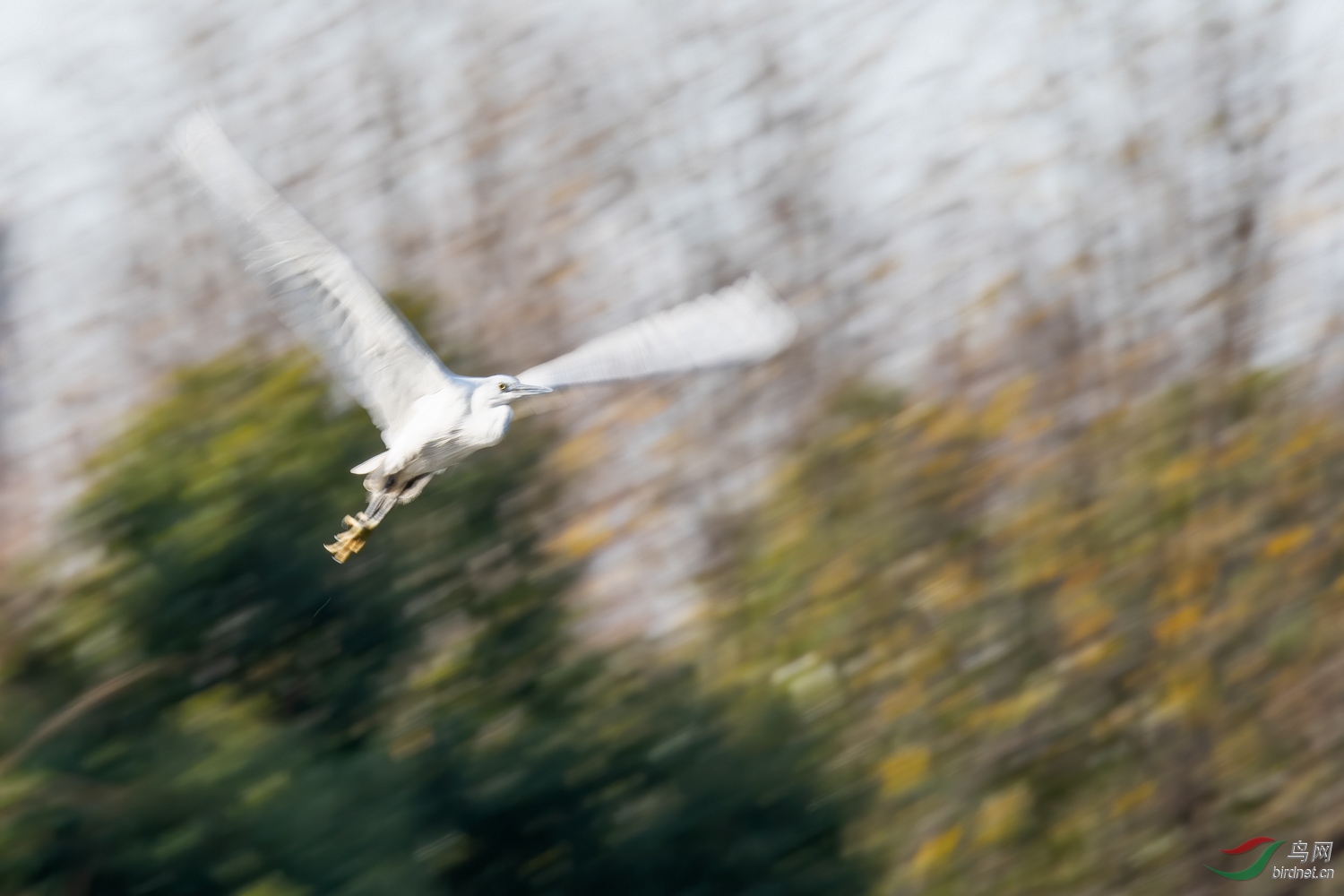 DSC_7069_1.jpg