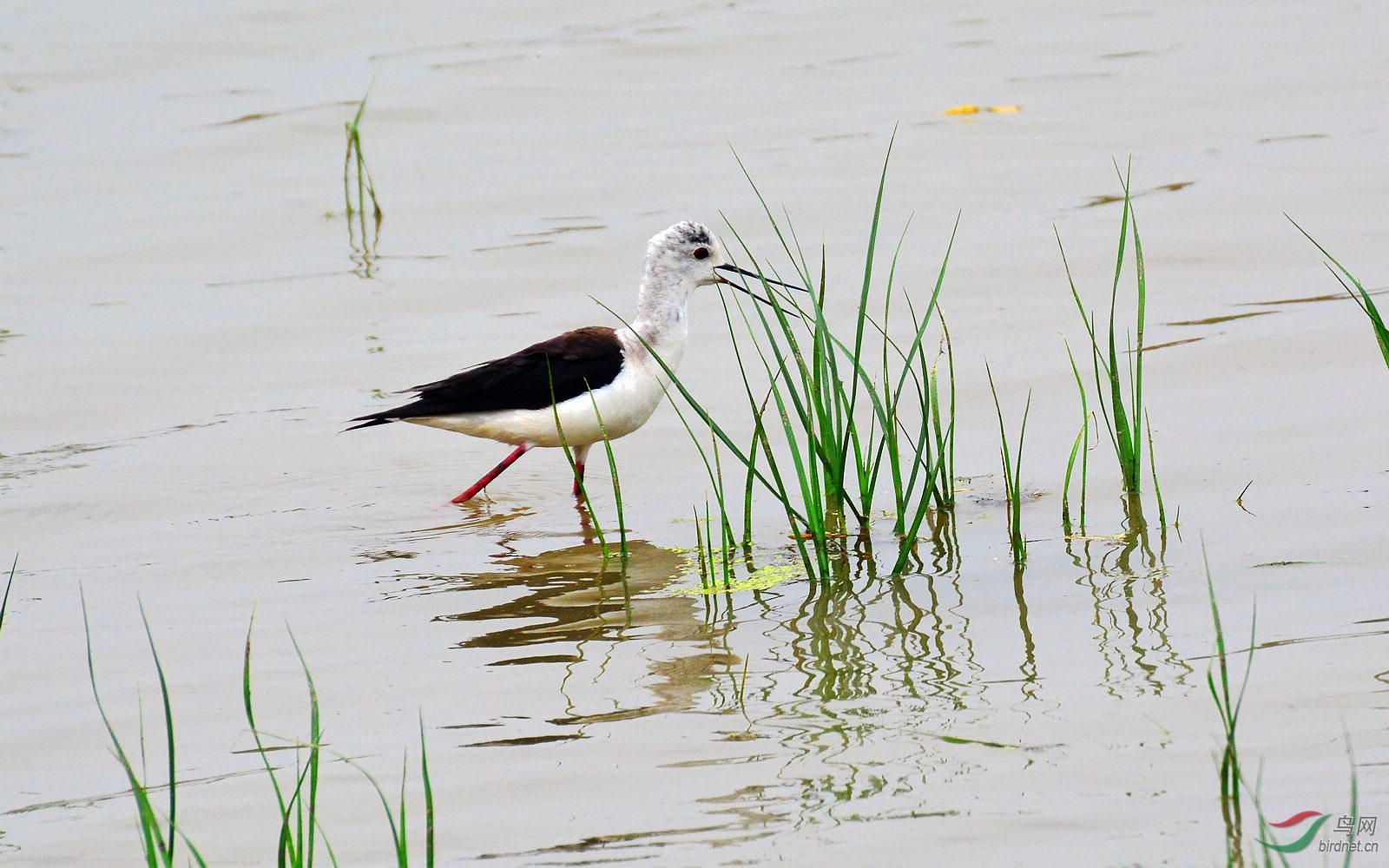 DSC_2066.JPG