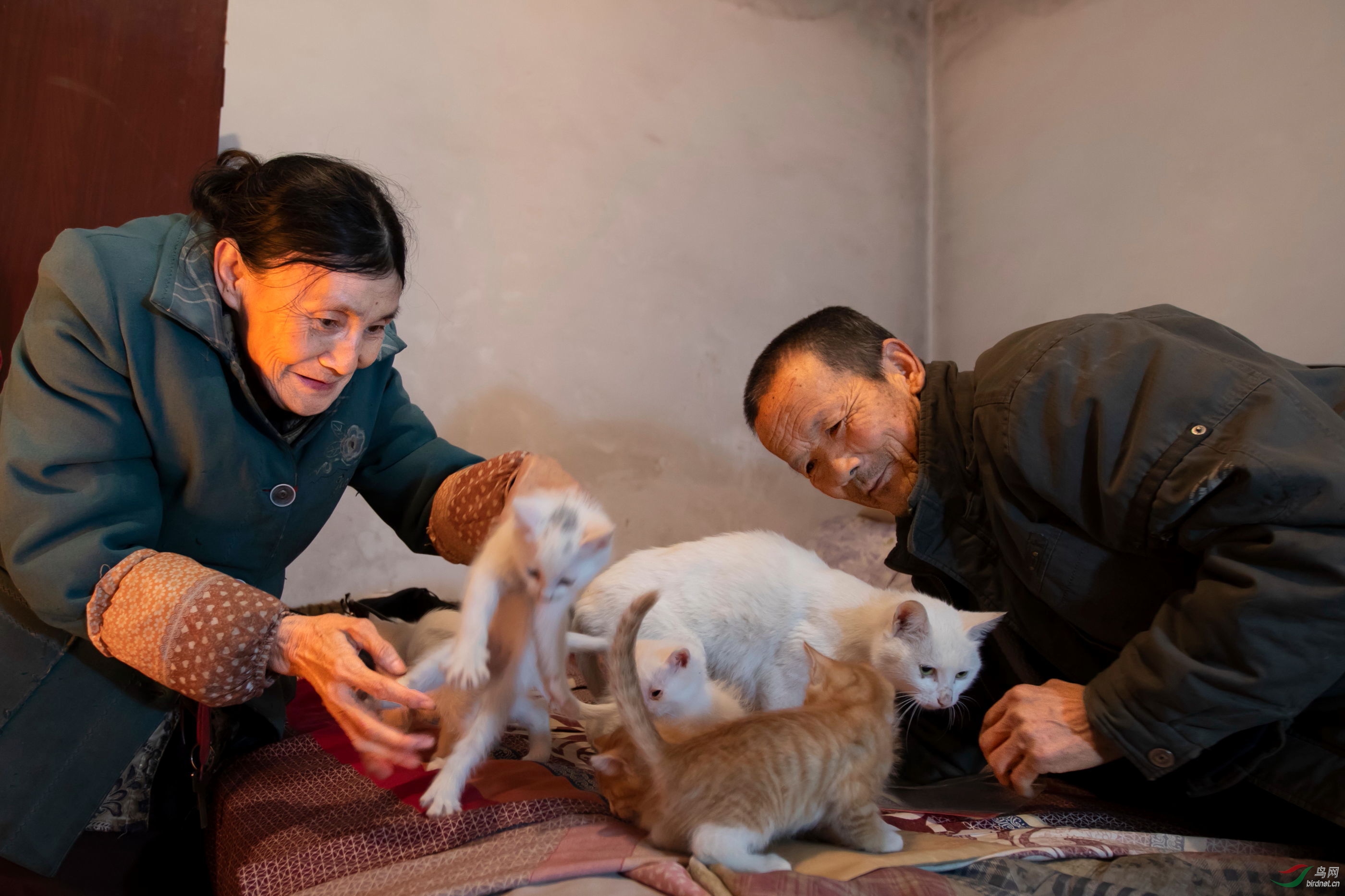 ������� (9).JPG