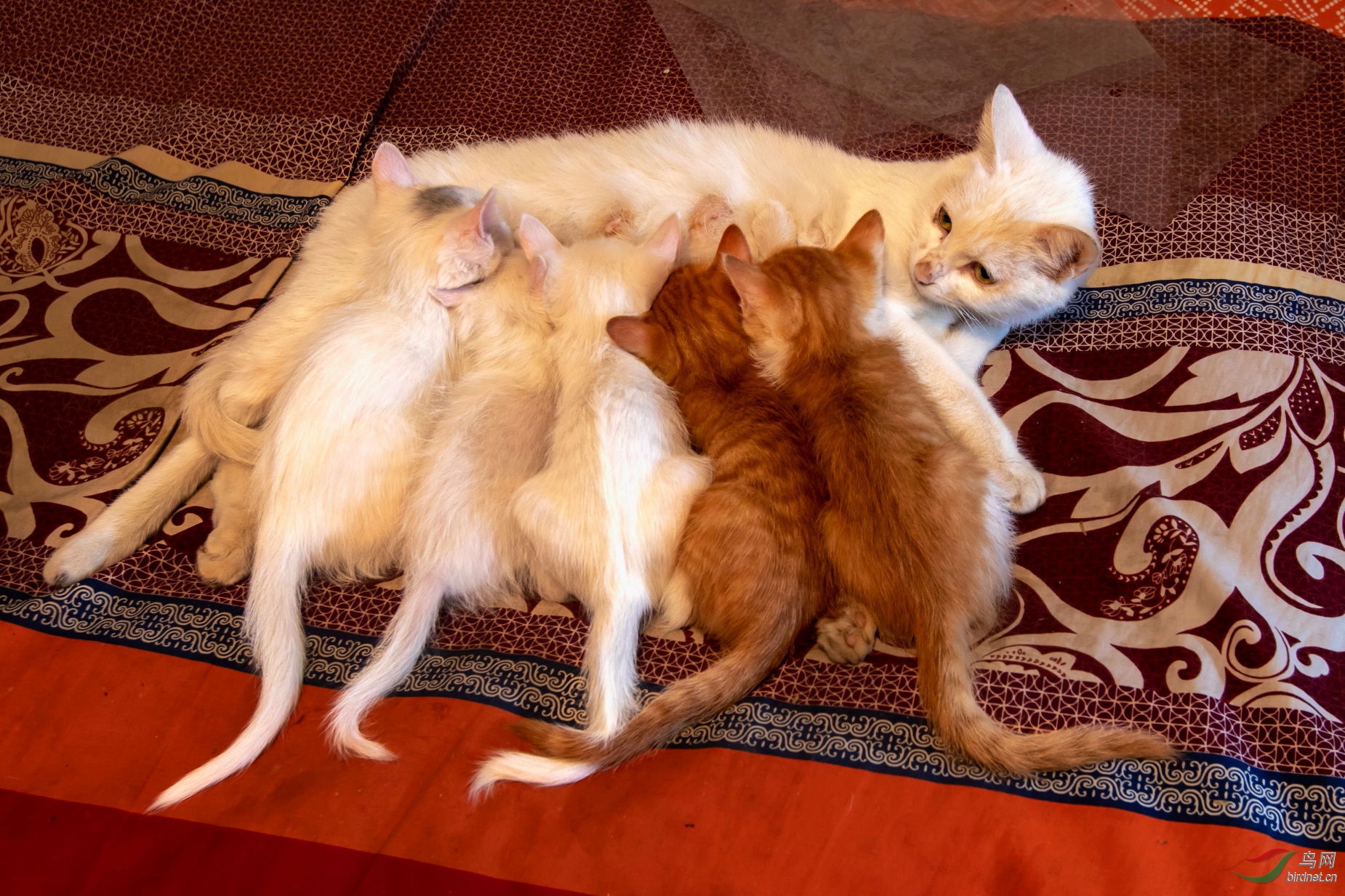 ������� (10).JPG