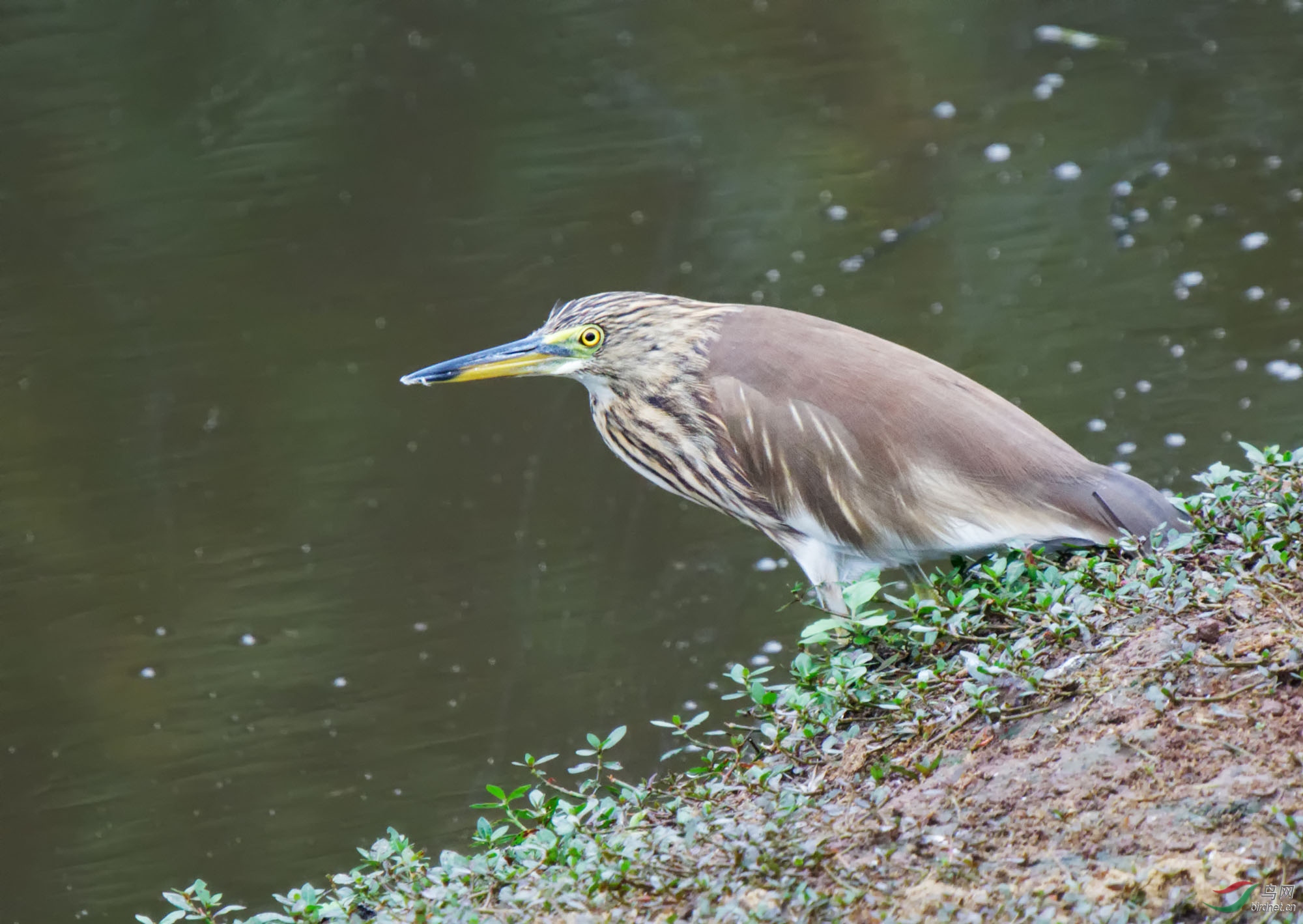 DSC01112_DxO.jpg