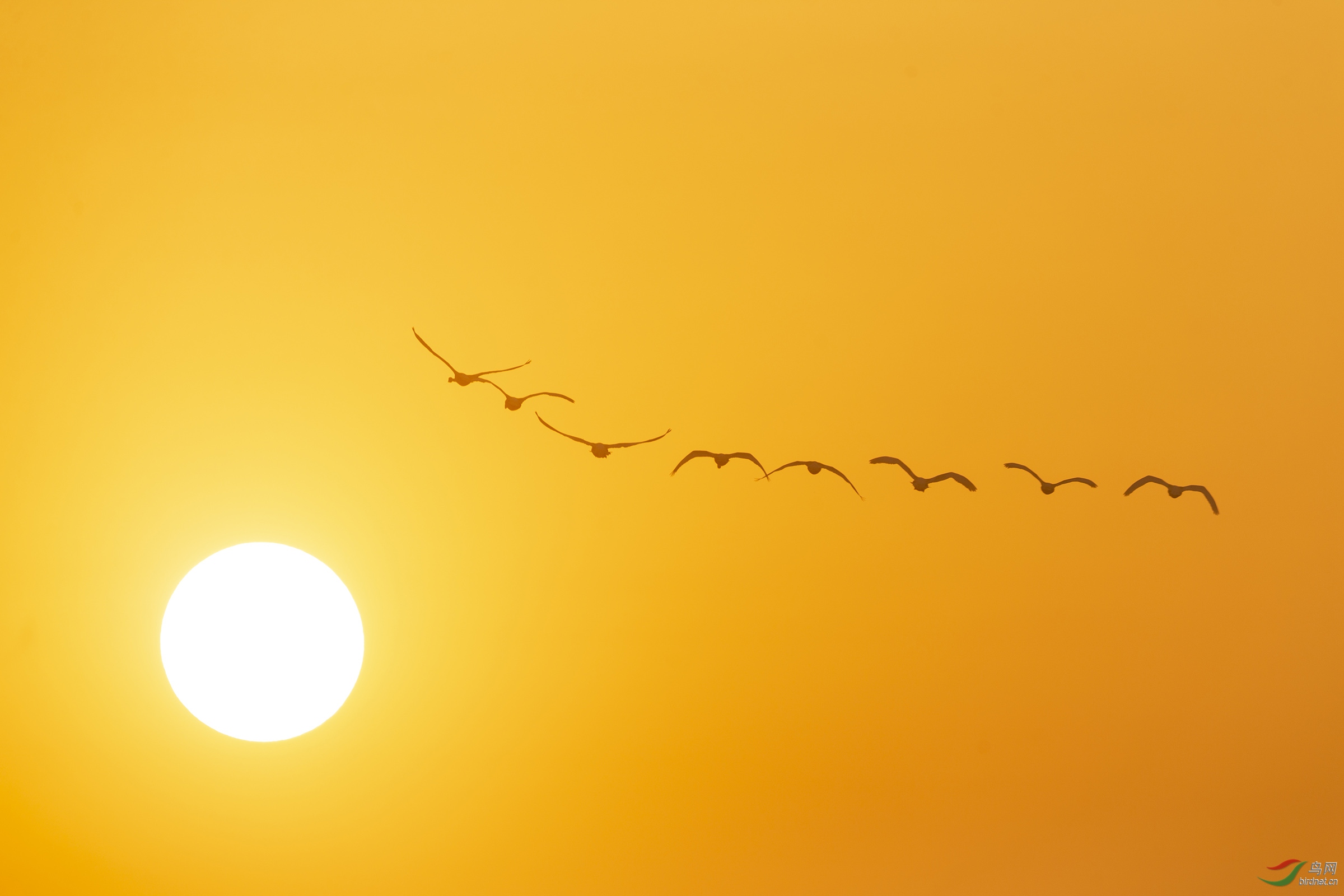 众志成城战病毒 奔向太阳迎曙光