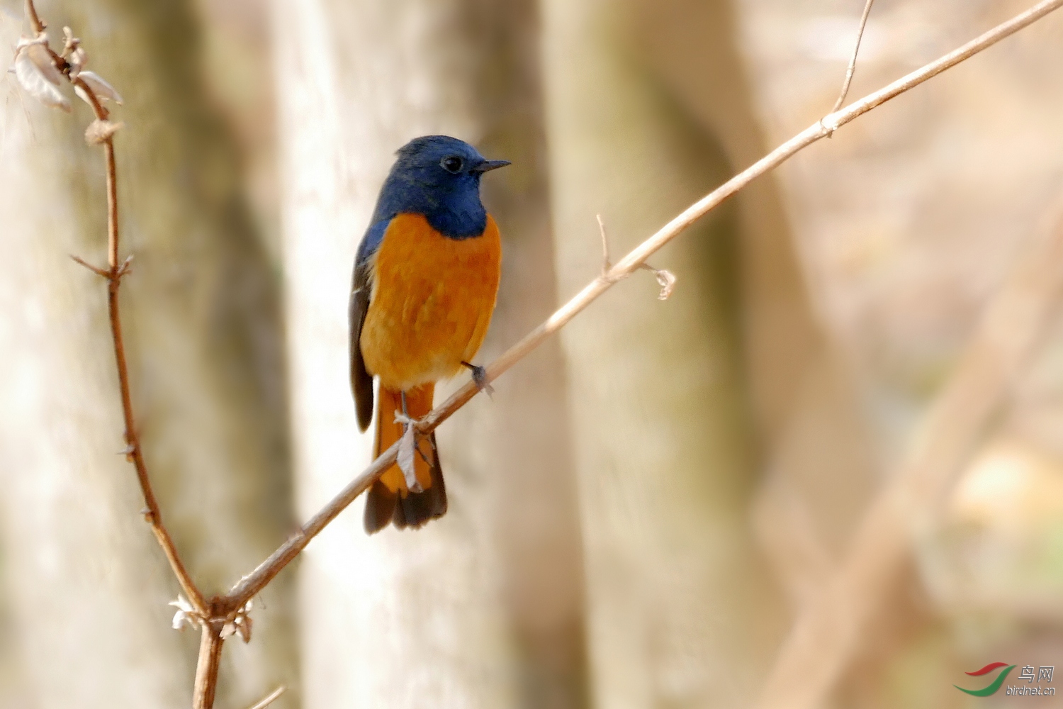 202006.��Ȼ��ȥ�괺�����е����1000������ĵ���ͬһ����