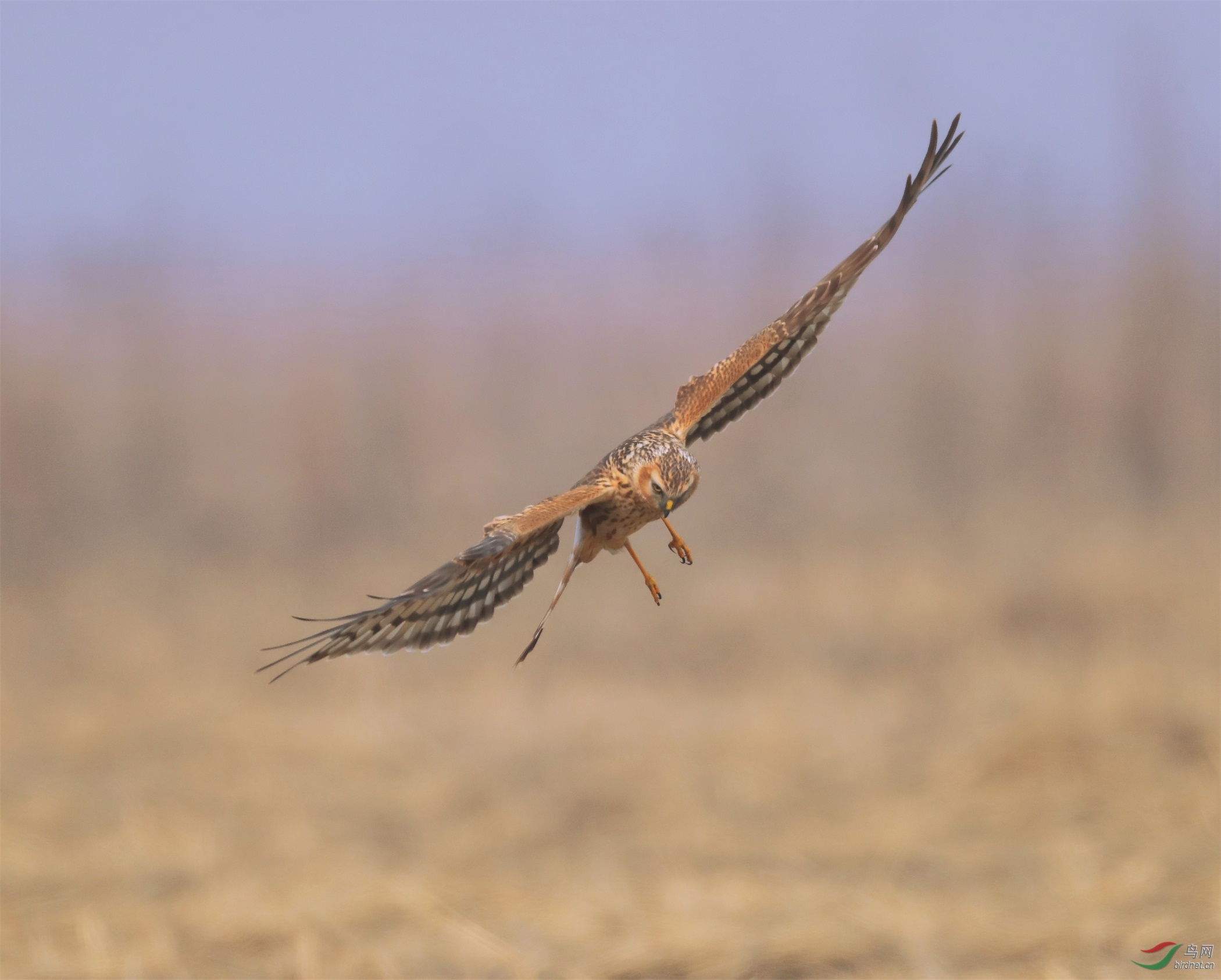 6 - ����.JPG