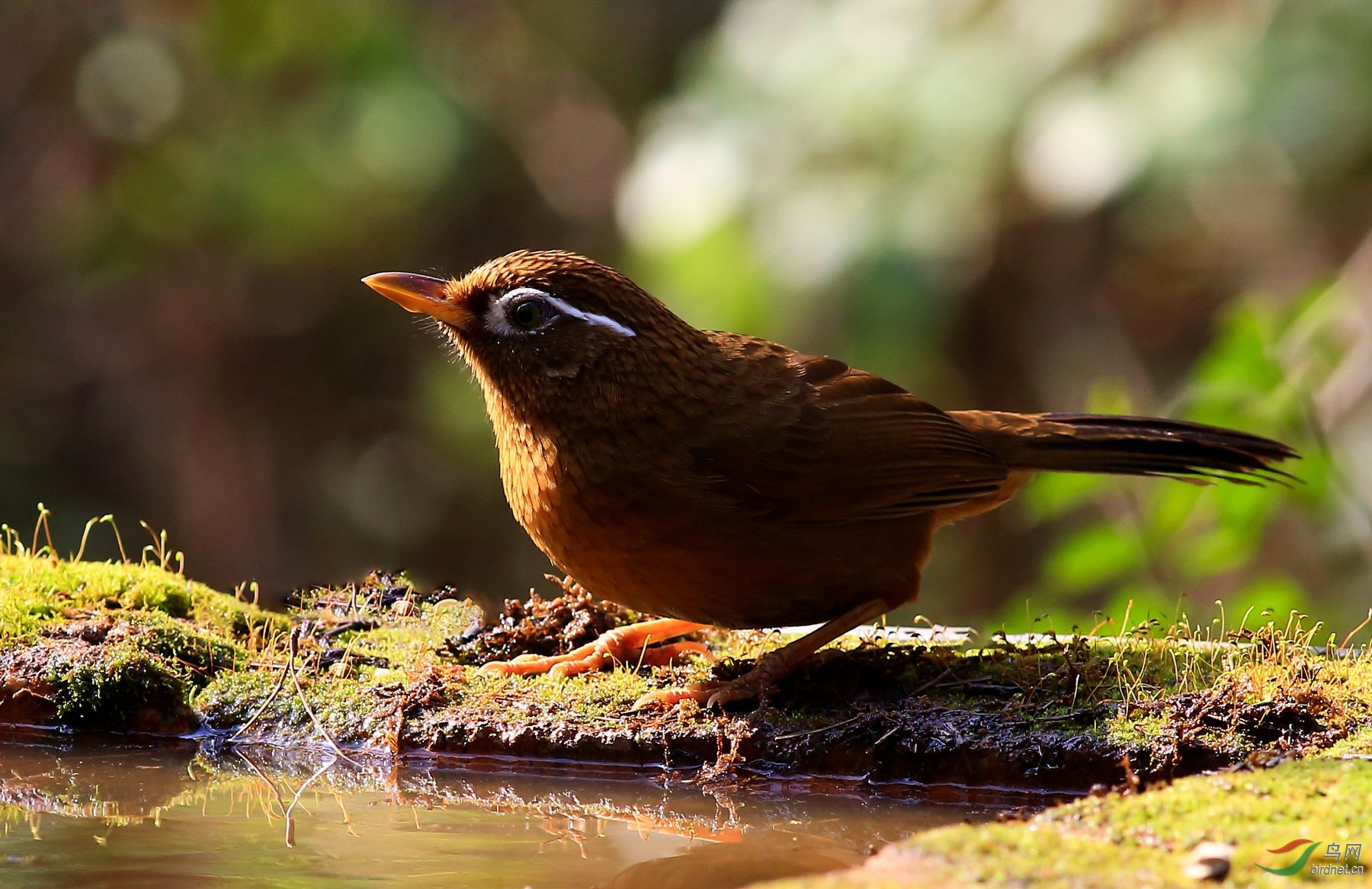 2020-01-10 10-01-15 (2).JPG