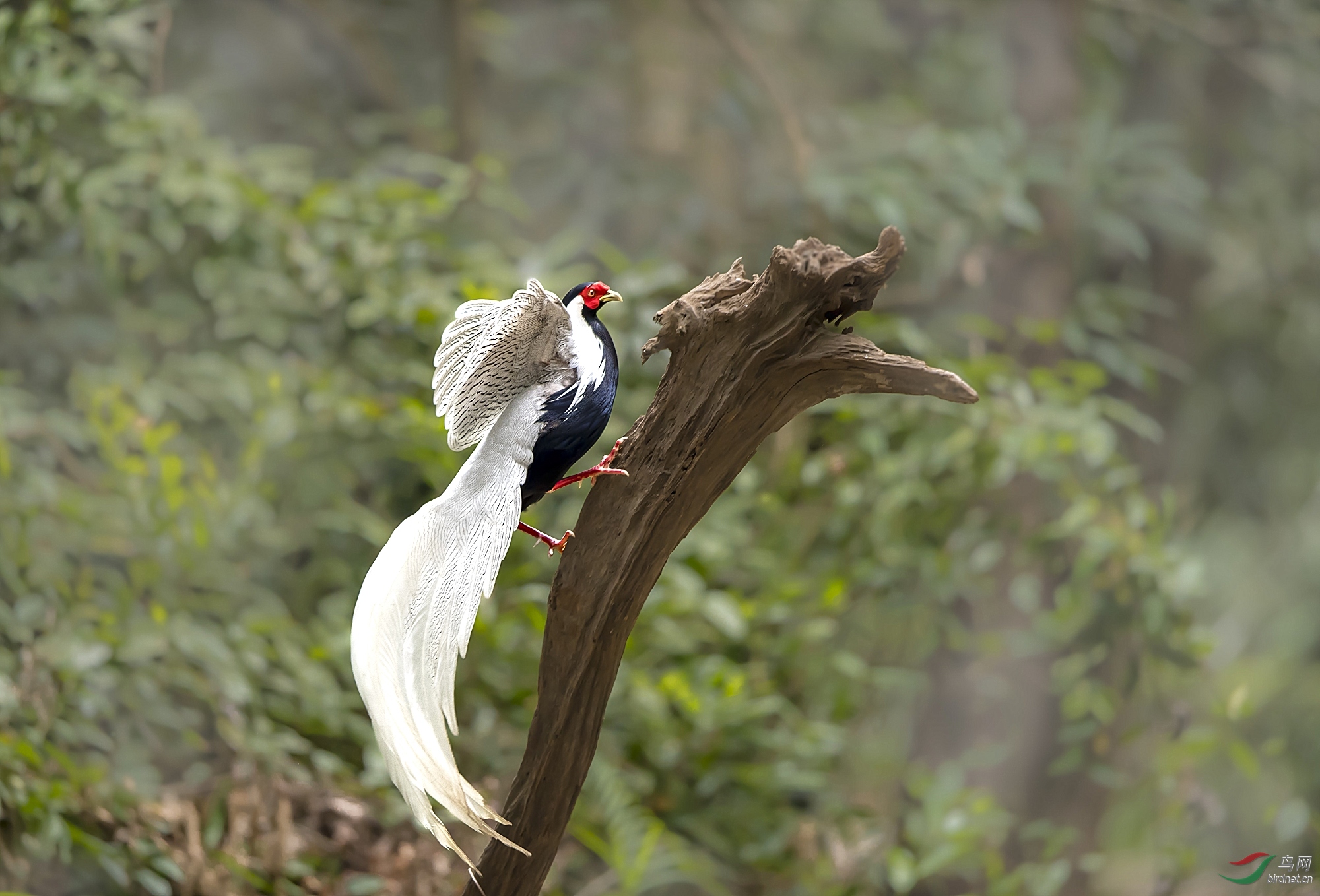 DSC_5322_����.jpg