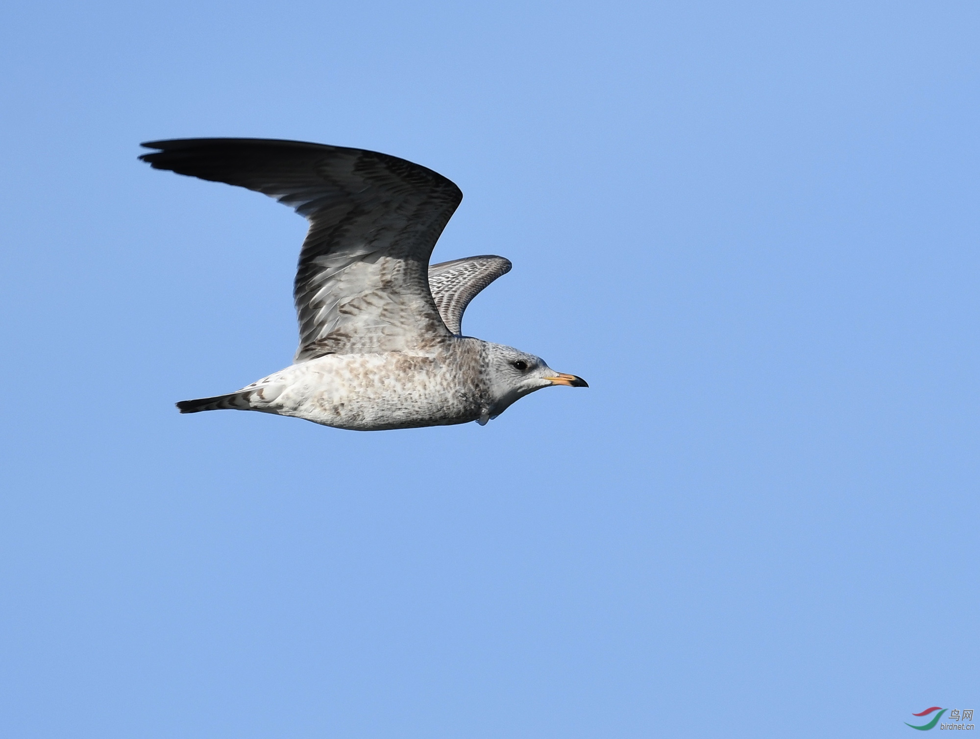 ������Ӱ 1840����.jpg