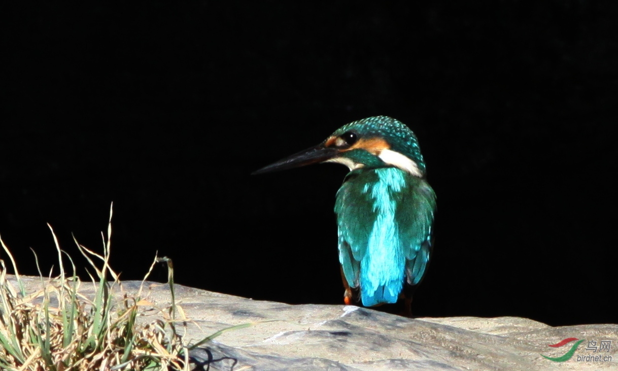 IMG_9628 - ����.jpg