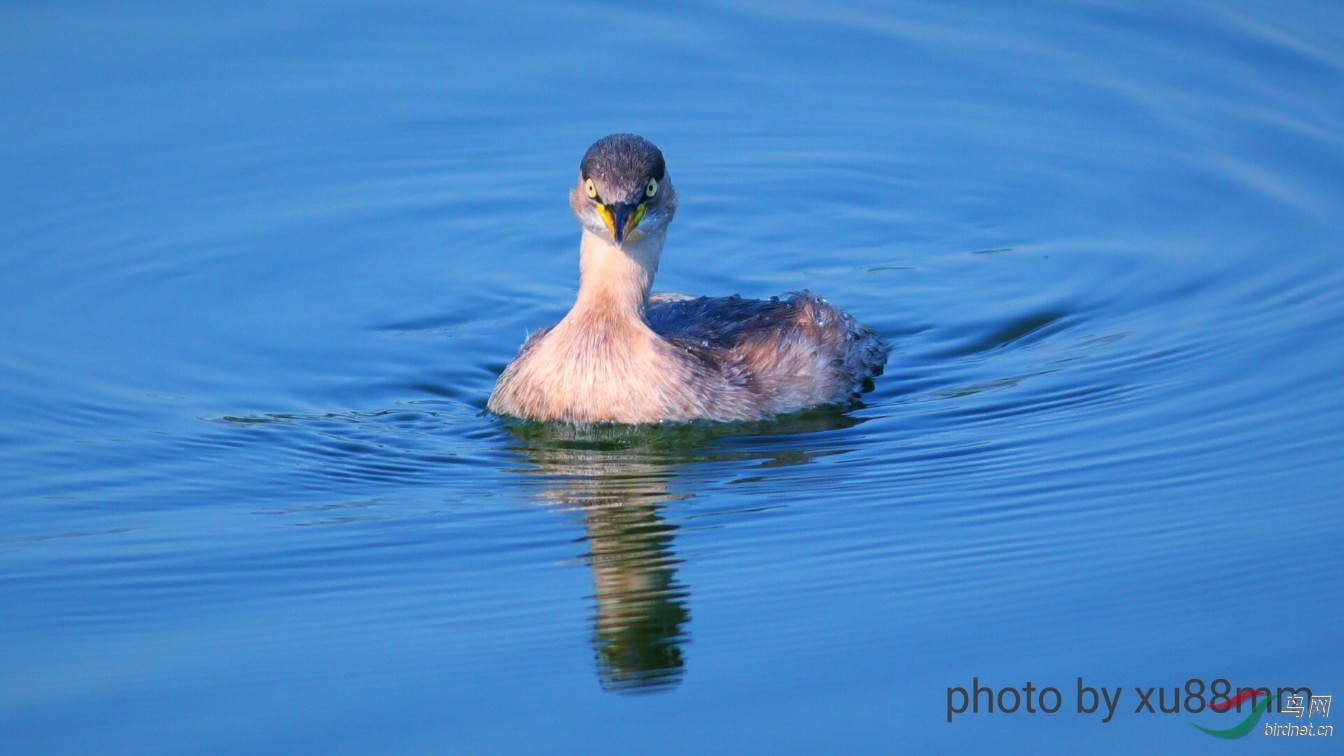 ����Լ10��