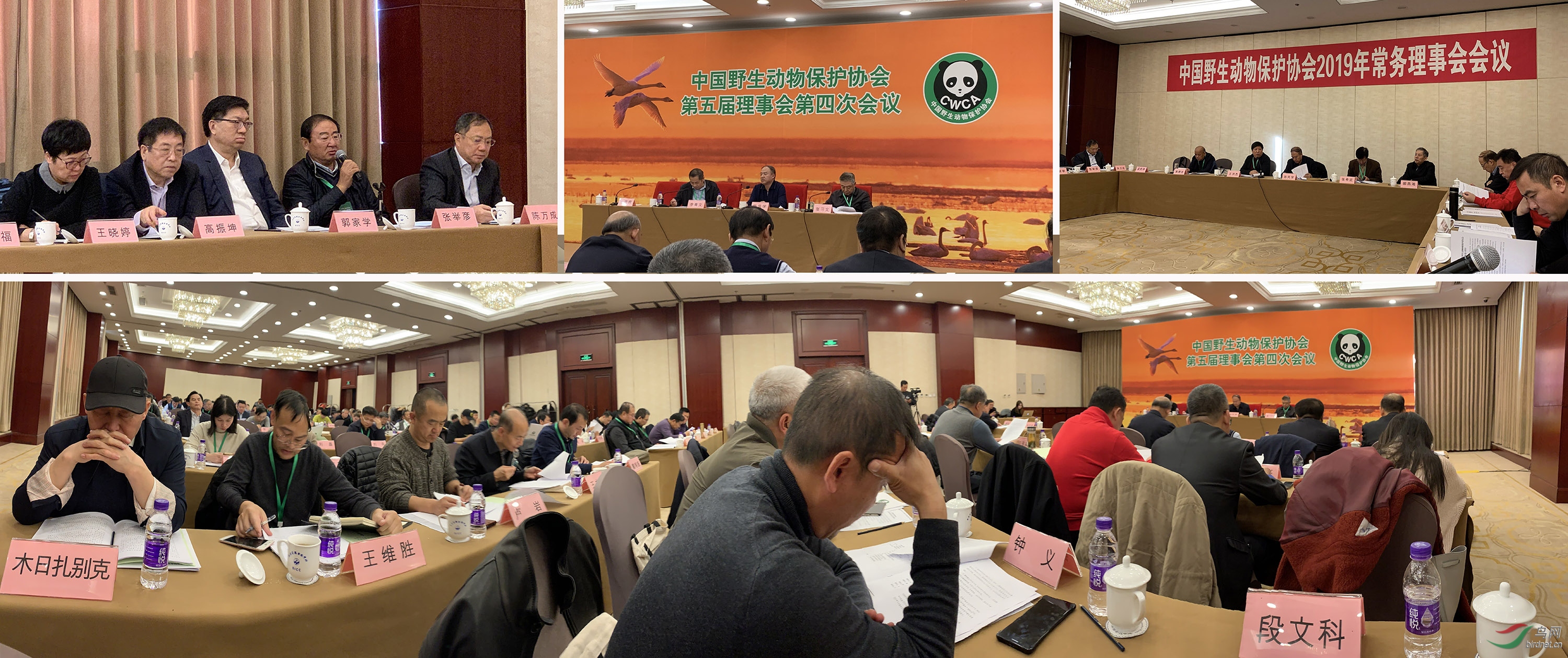 中国野生动物保护协会第五届理事会第四次会议-.jpg