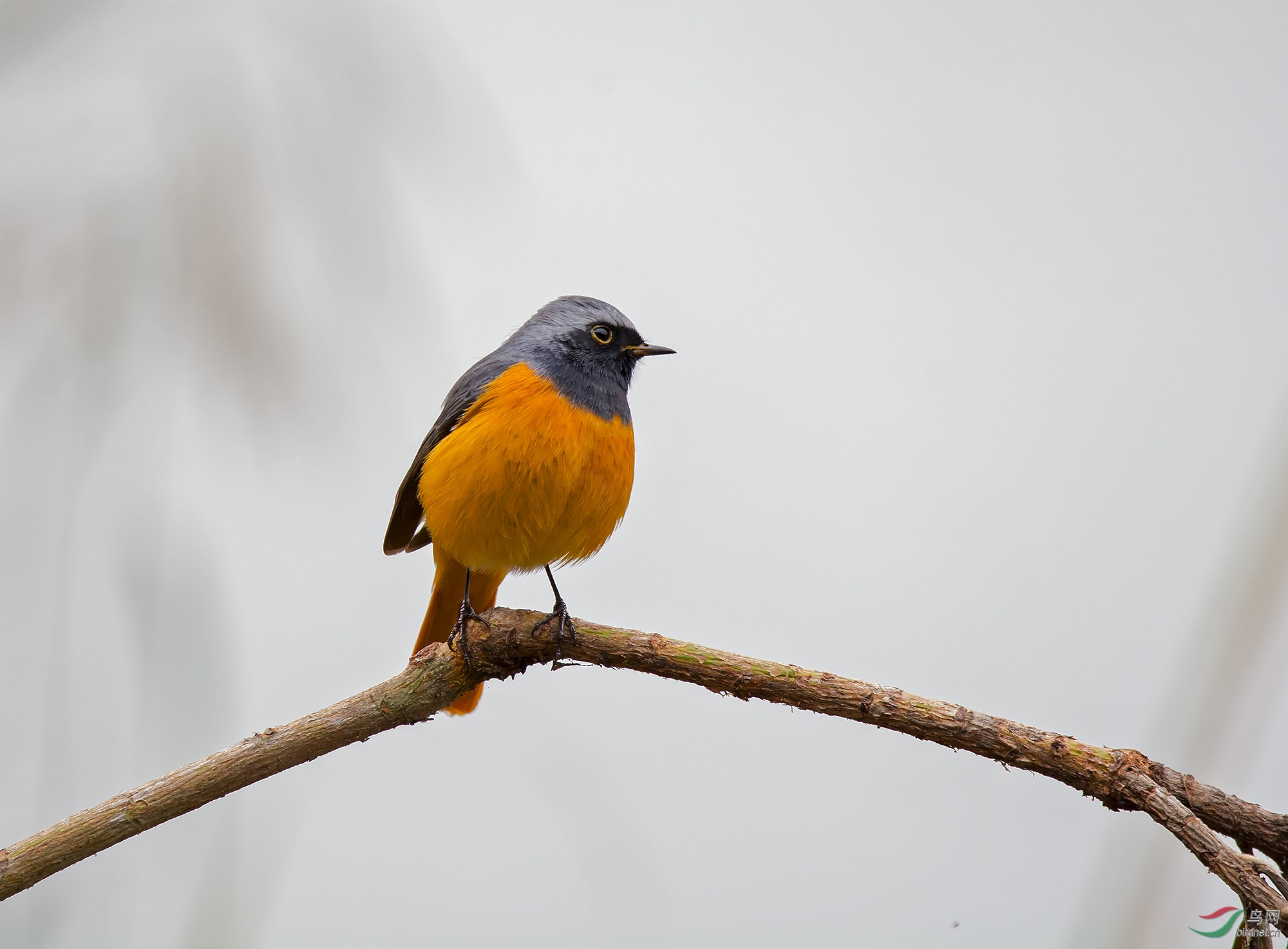 DSC_7009.jpg