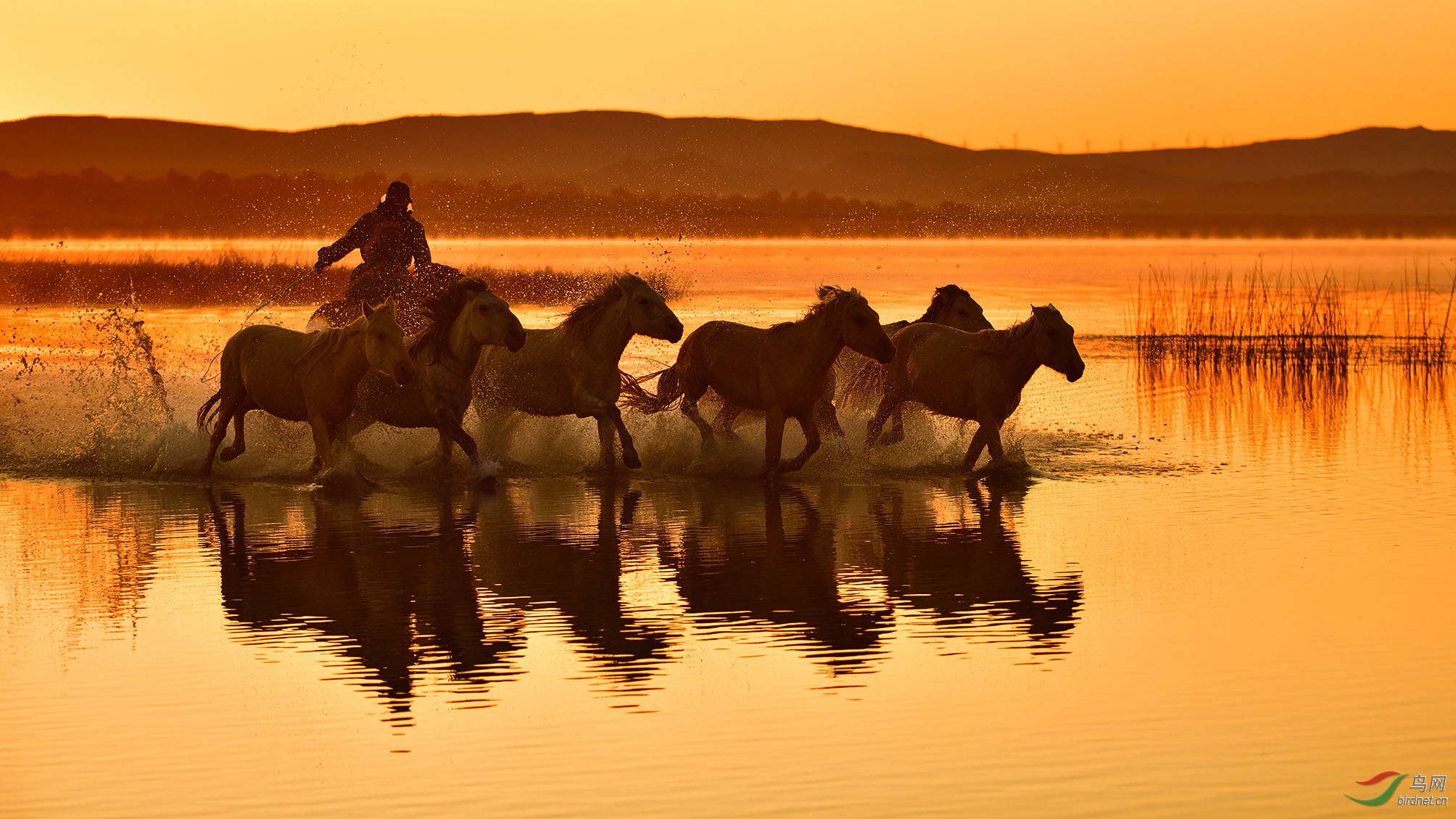 DSC_5953_����������ͳ  �ϴ�.jpg