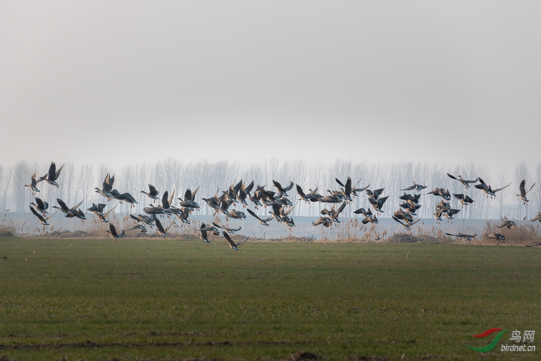 20200130-_DSC0095-2.jpg