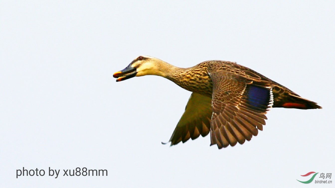 ����Լ20��