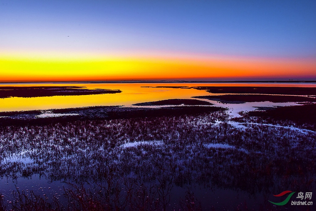 DSC_2232_����.jpg