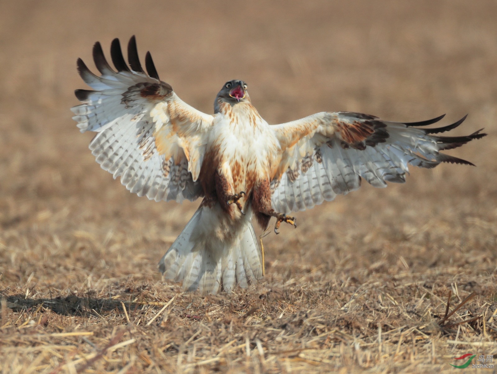 1 - ����.JPG