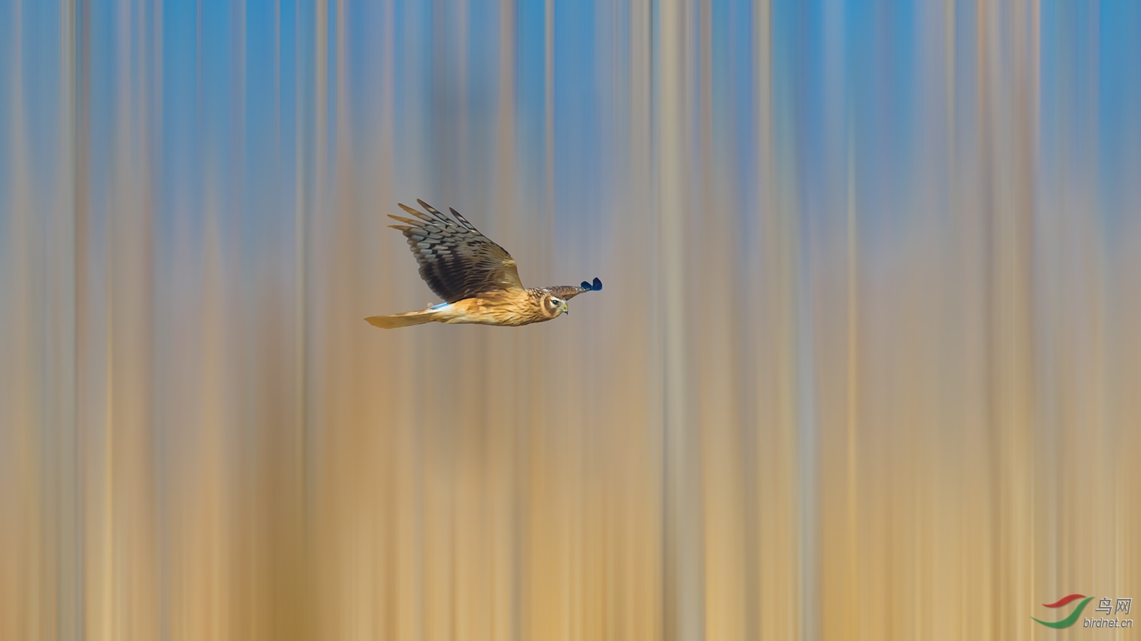 AQ0I8060.jpg