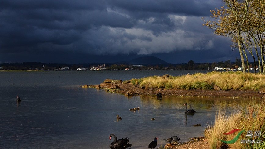 �����ڰ��ް������ء�