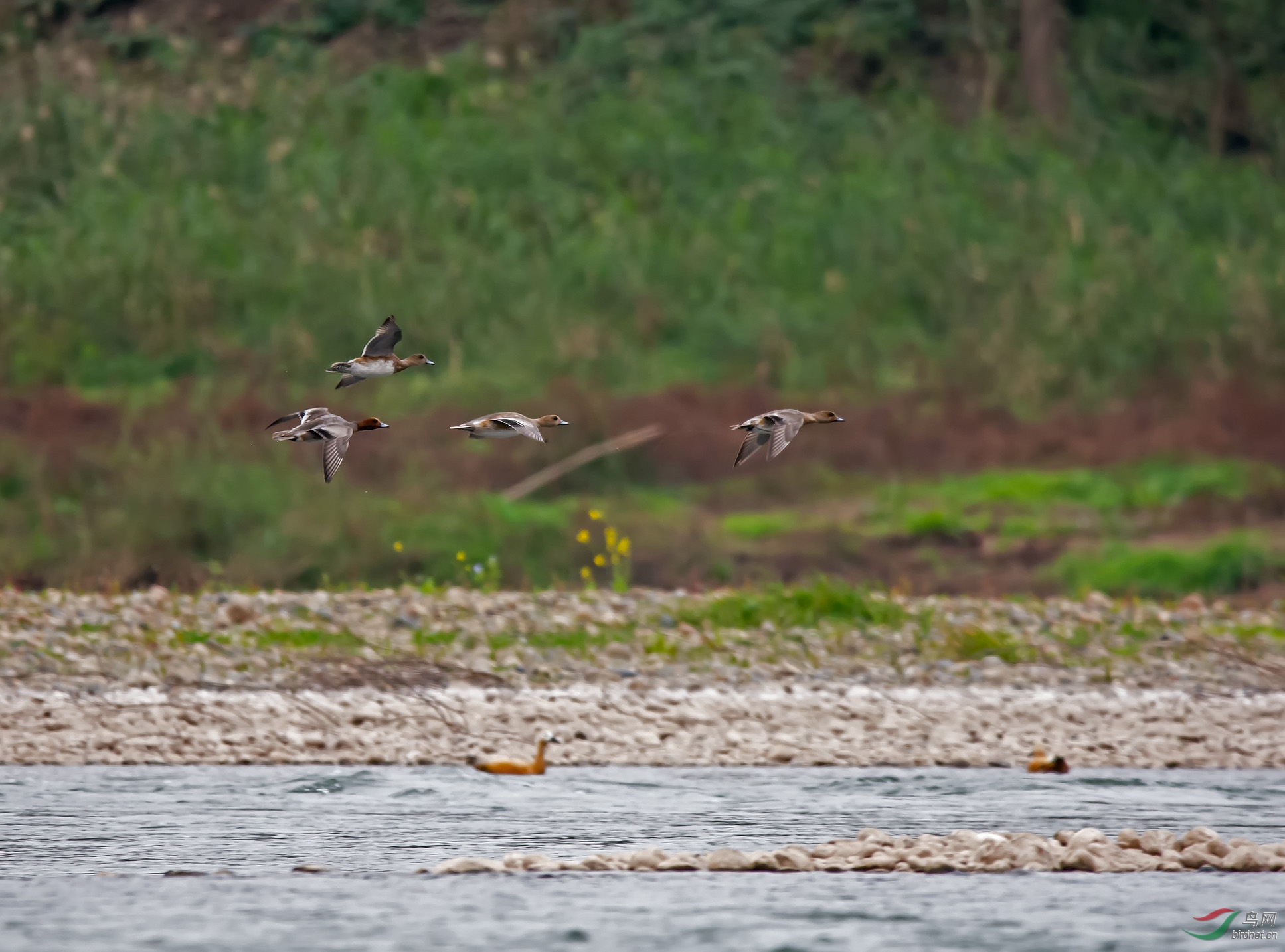 �ྱѼ������ǱѼ