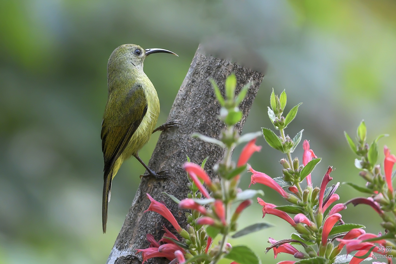 DSC_8051-2.jpg