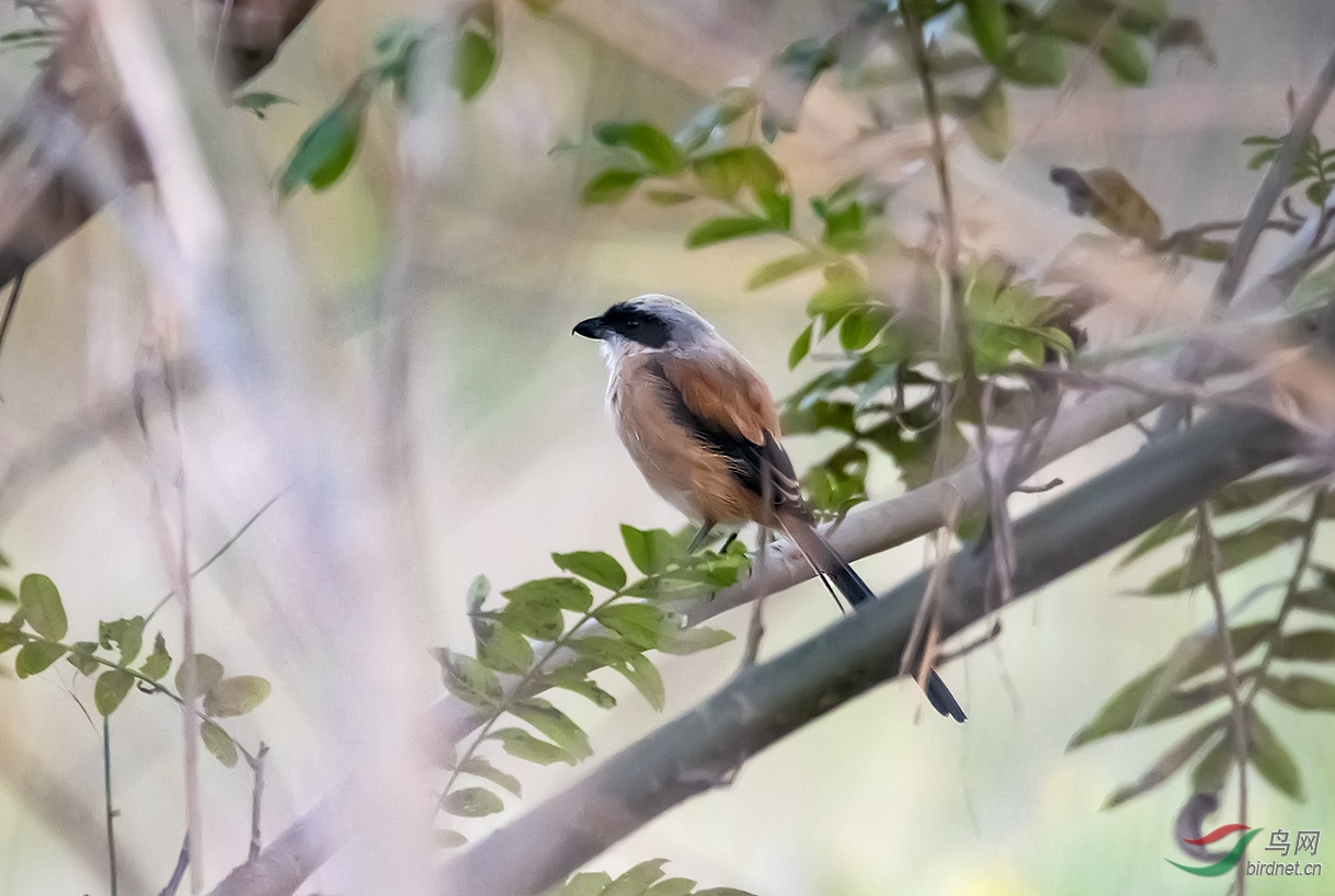 DSC_3302.jpg