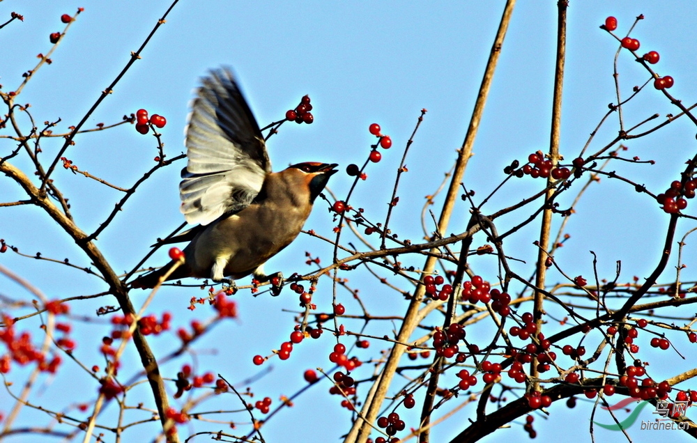 IMG_6666.jpg