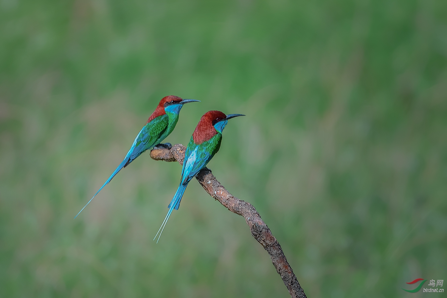 _DSC3943-2.jpg