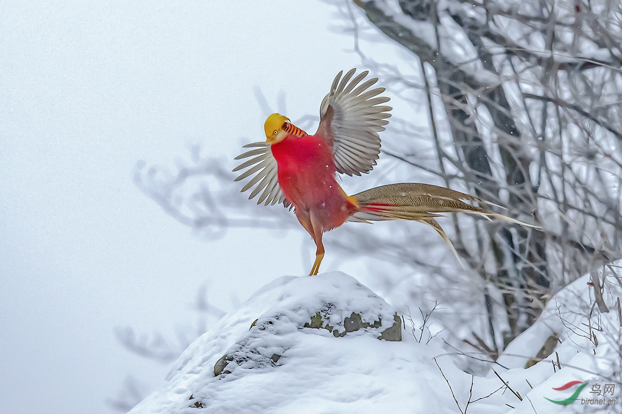 ����������Ͽ��ɽ��