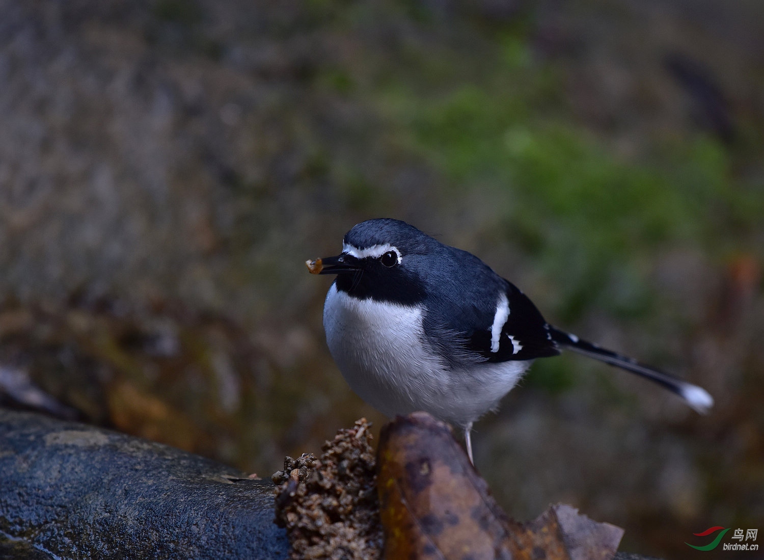 D8I_1430.jpg