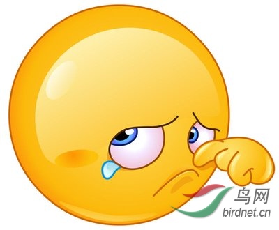 t01d9bd5b33a7a3ebde - ����.jpg