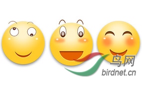 wangyexiaoliantubiao_8242895.jpg.285 - ����.jpg