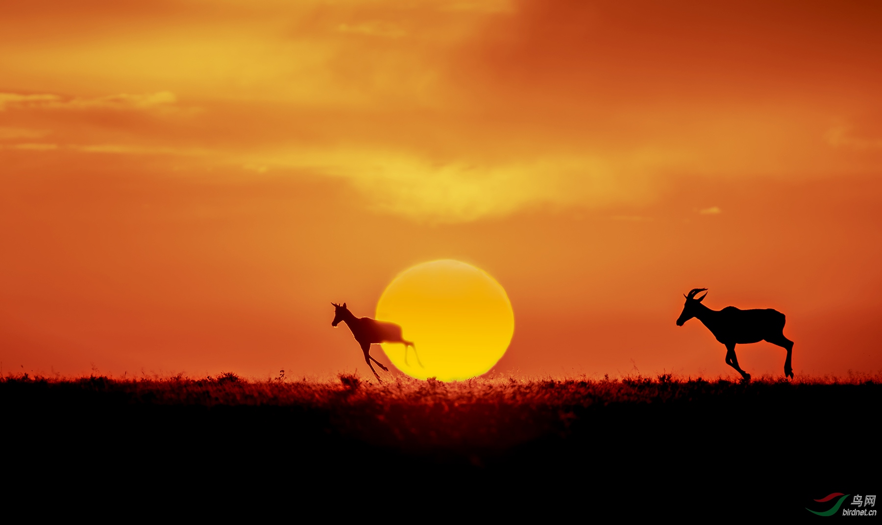 ׷�գ�����