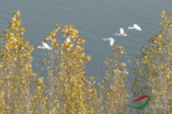 _E8J1310.jpg