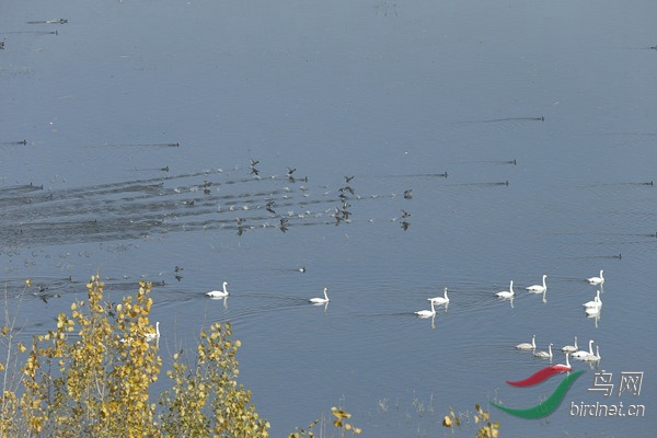 _E8J1551.jpg