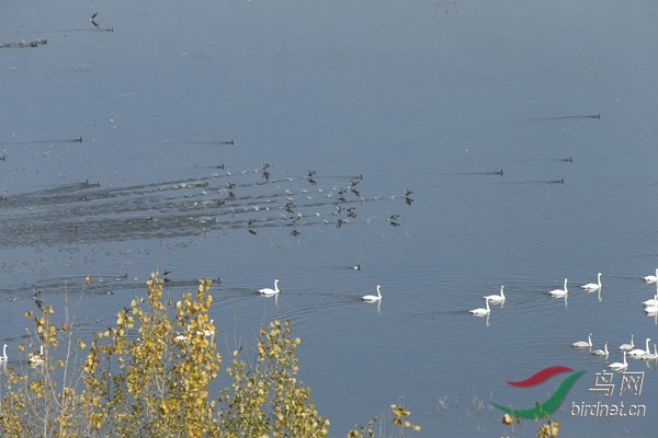 _E8J1547.jpg