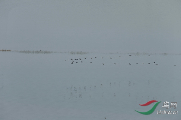 _E8J1401.jpg
