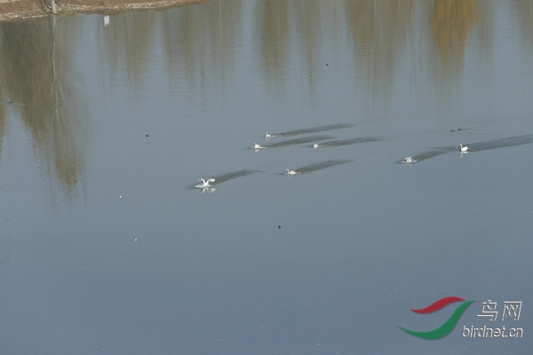 _E8J1680.jpg