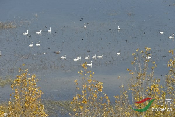 _E8J1689.jpg