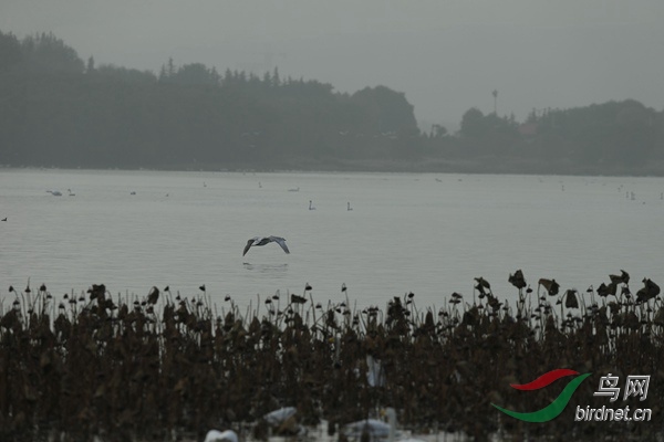 _E8J1755.jpg