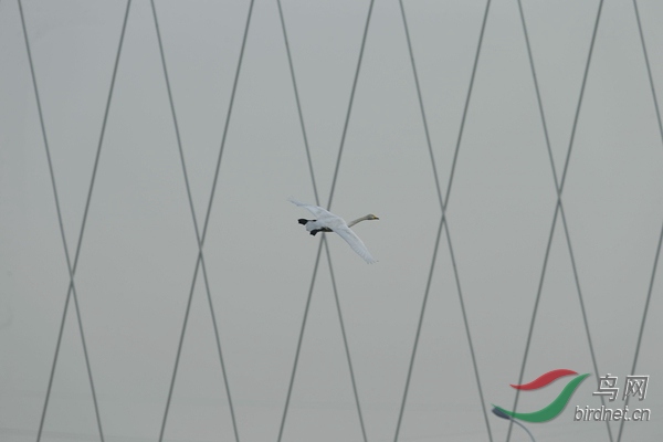 _E8J1772.jpg