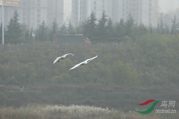 _E8J1780.jpg