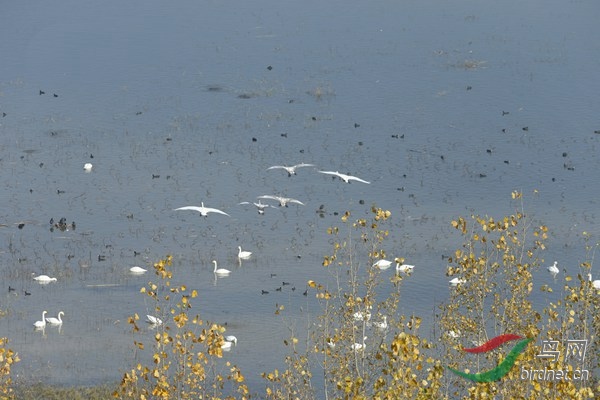 _E8J1317.jpg