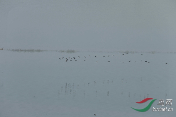 _E8J1400.jpg