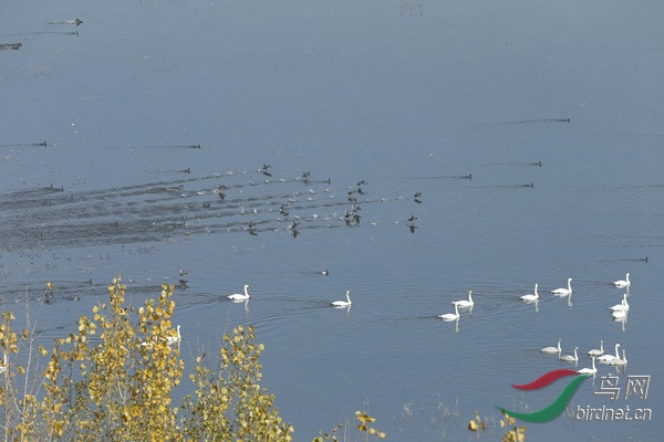 _E8J1550.jpg