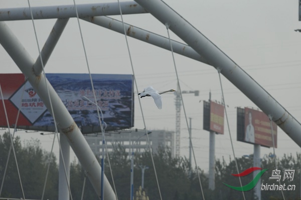 _E8J1776.jpg