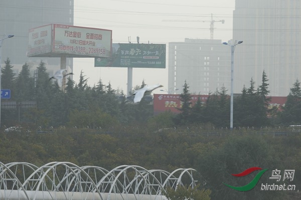 _E8J1778.jpg