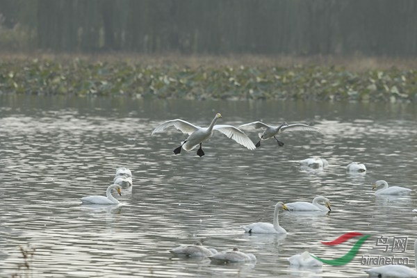 _E8J1797.jpg